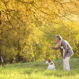 person playing fetch with their dog in a park